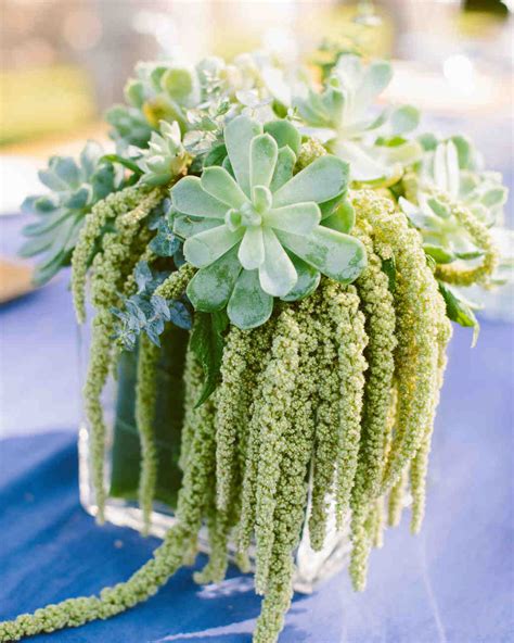 36 Ideas For Using Succulents At Your Wedding Martha Stewart Weddings