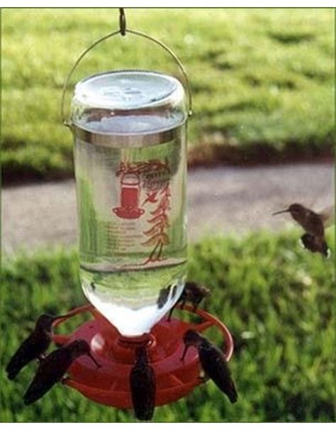 Hummingbird Feeder 32oz Glass Bottle Best 1 Raven Tree Wild Bird And Nature Shop