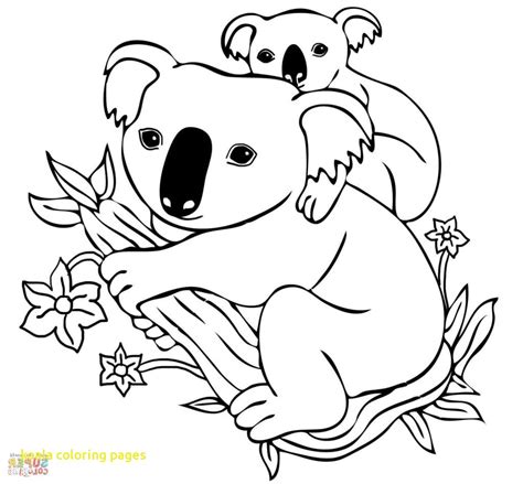 Coloriages à Imprimer Koala Numéro 2154f8c1
