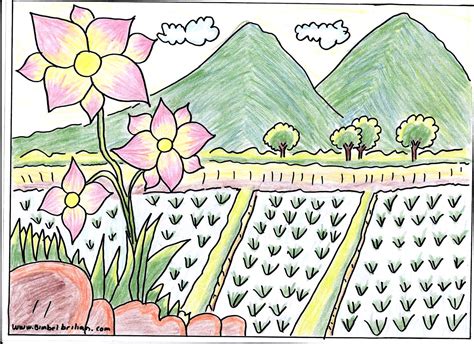 Check spelling or type a new query. Sketsa Petani Di Sawah : Terbaru 25+ Gambar Petani Menanam ...