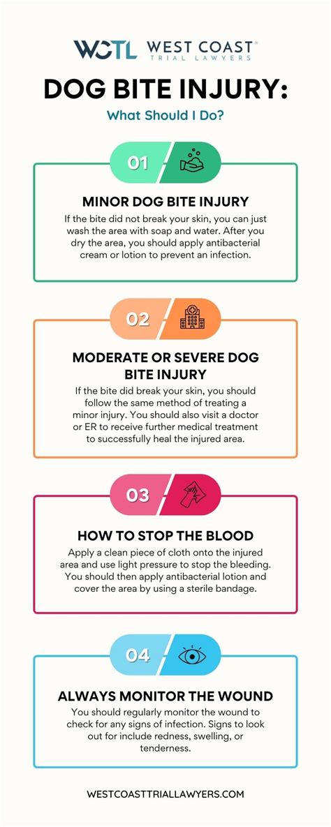 How Do You Treat A Dog Bite What You Need To Know In 2022 West Coast