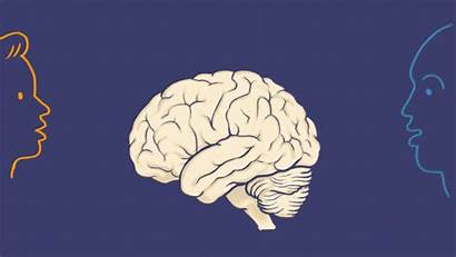 Brain Development Activity Volume Hear Works Columbia