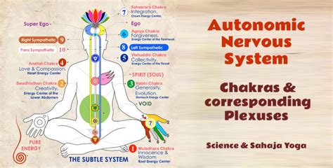 Autonomic Nervous System Chakras Corresponding Plexuses Spreading