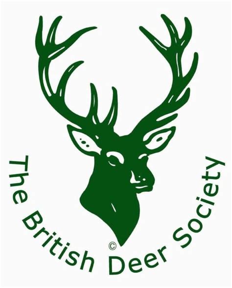 The British Deer Society Animal Charities Animals Deer