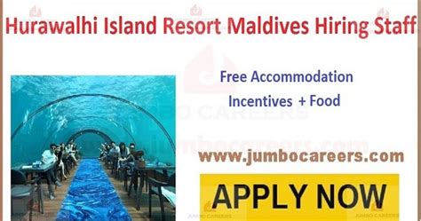 Find the latest job openings in maldives. Pin by Aruna Yadav on Latest Hotel Jobs in Maldives | How ...