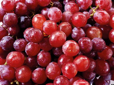 5 Fakta Mengenai Buah Anggur Yang Perlu Kamu Ketahui
