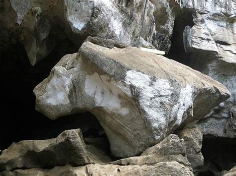 Amboni Caves Tanga 2022 Lo Que Se Debe Saber Antes De Viajar
