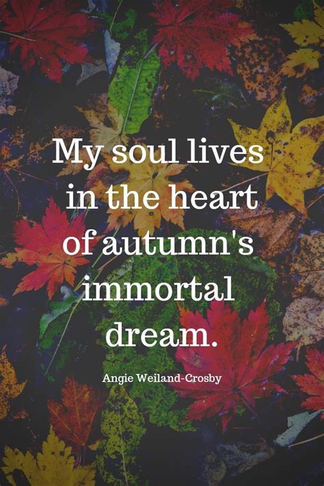 50 Autumn Quotes And Fall Quotes And Captions To Enchant And Deepen The