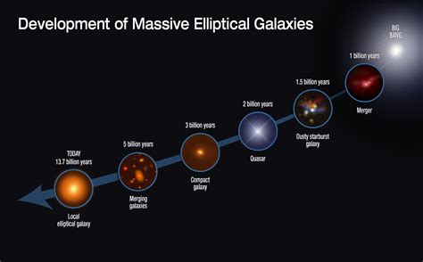 Development Of Massive Elliptical Galaxies