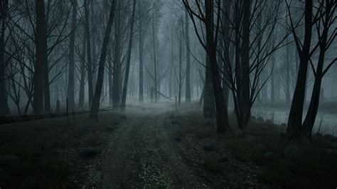 Forest Psychological Horror Dark Forest