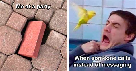 30 Painfully Accurate Memes That Every Introvert Will Relate To Demilked