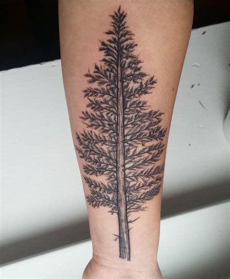 Best Pine Tree Tattoo Ideas Ideas In