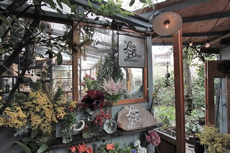Последние твиты от little shop flowers (@littleflowersdc). THE LITTLE SHOP OF FLOWERS ／ 各業界から注目される小さな花屋さん THE LITTLE ...