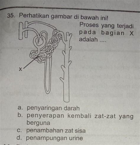 Maybe you would like to learn more about one of these? perhatikan gambar berikut di bawah ini proses yang terjadi ...