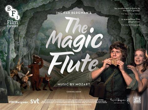 The Magic Flute David Vining Author
