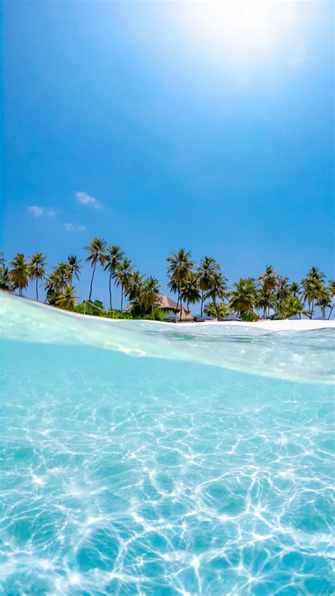 Download Wallpaper 1440x2560 Sea Palm Trees Sun Beach Wave Water