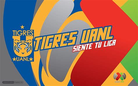 Tigres UANL Liga MX CLUB TIGRES HD Wallpaper Pxfuel
