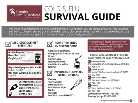 Cold And Flu Survival Guide