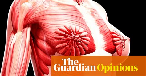 How A Viral Image Of Breasts Exposes Sciences Obsession With The Male