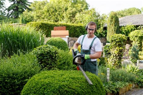 The Best Gardening Services In Canberra Riotact