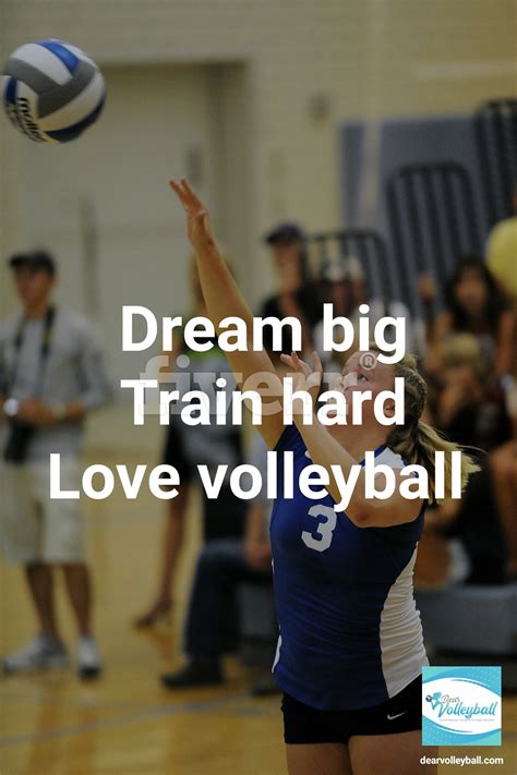 18 Inspirational Quotes By Famous Volleyball Players Swan Quote