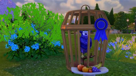 Mod The Sims Sturdy Birdie Bird Cage