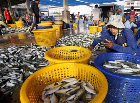 Tratado Mundial Contra La Pesca Ilegal Entra En Vigor