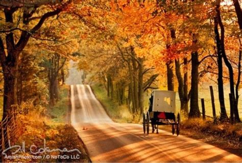 Autumn Images Autumn Scenery Scenery Amish