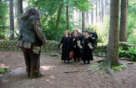 Care Of Magical Creatures Harry Potter Wiki