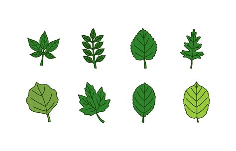 Leaves Icon Set 173370 Vector Art At Vecteezy