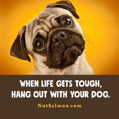 Cute Dog Pictures With Sayings