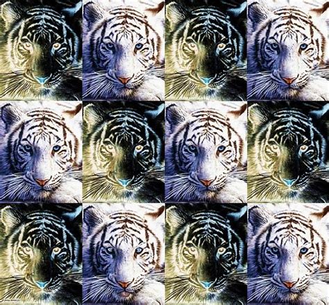A Tessellation Of Tigers Digital Art By Jenny Elaine A Tessellation