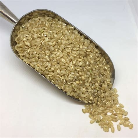 Short Grain Brown Rice Organic Pack It In Zero Waste Living Worcester