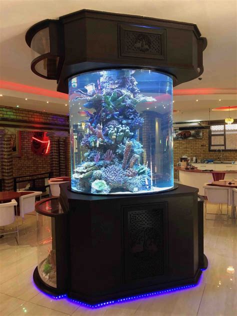 custom aquariums  build custom fish tanks  johannesburg