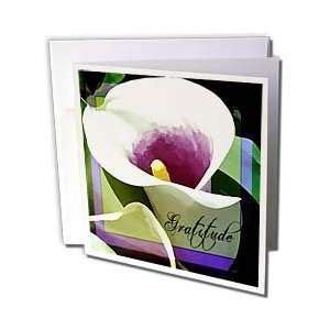White Calla Lily Thank You Note Cards Envelopes Quantity Of On