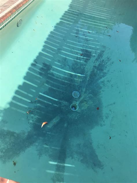 Had A Black Algae Filled Pool A Few Weeks Ago Now We Have Gotten It