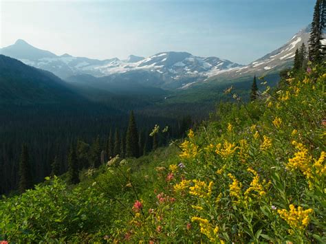 Glacier National Park Backpacking Part 2 Backcountry Sights