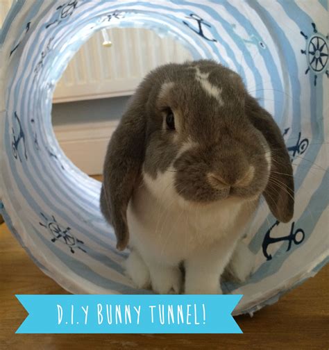Diy Tunnels From Laundry Hampers Great Toys And Boredom Breaker For