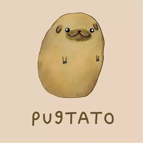 10 Of The Cutest Animal Illustration With Clever Puns Cute Animal