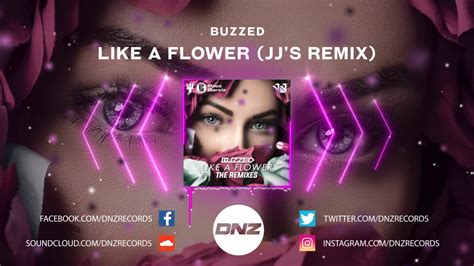 Dnz Buzzed Like A Flower Jj S Remix Official Video Dnz Records