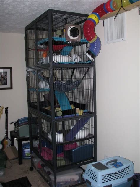 tunnel and cage system the holistic ferret forum ferret diy ferret cage ideas ferret cage diy