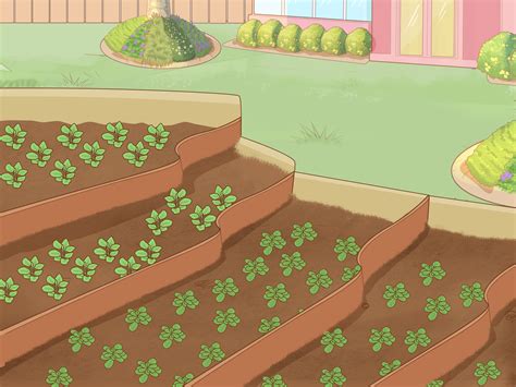 How To Prevent Soil Erosion 15 Steps With Pictures WikiHow