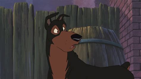 Buster From The Lady And The Tramp Iiscamps Adventure Lady And