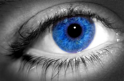 15 Characteristics Of People With Blue Eyes Pei Magazine