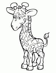 Image result for dancing giraffe | Giraffe coloring pages, Zoo coloring