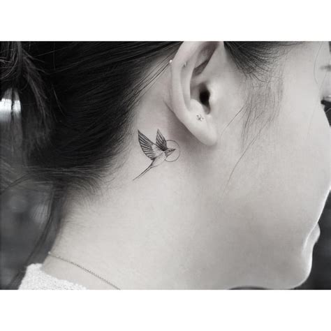 Swallow Bird Tattoos Tiny Bird Tattoos Bird Tattoos For Women Birds