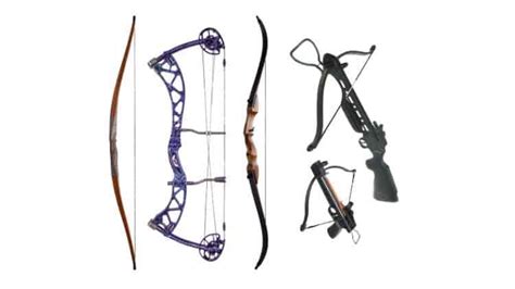 What Bow Types Are Available To The Archer And Hunter