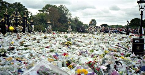 Maybe you would like to learn more about one of these? Flowers laid 5 feet deep outside of Buckingham Palace ...
