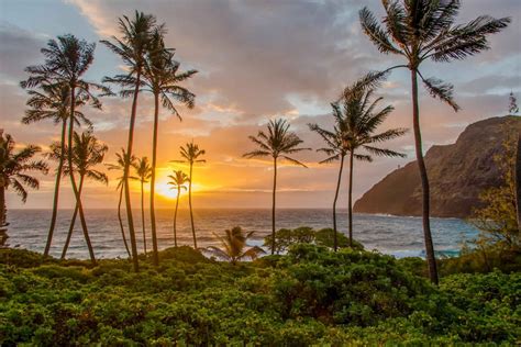 Oahu Sunrise Photo Tour With Professional Photo Guide In Hawaii My