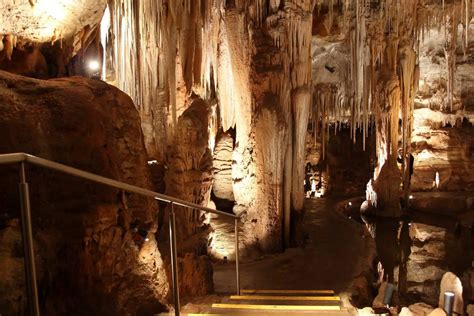 Tantanoola Caves Conservation Park Attraction Entry Price And Hours Sa